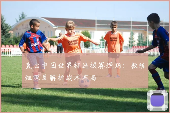 直击中国世界杯选拔赛现场:教练组深度解析战术布局