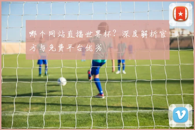 哪个网站直播世界杯？深度解析官方与免费平台优劣