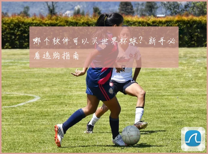 哪个软件可以买世界杯球？新手必看选购指南