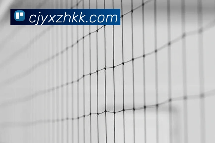 新爱体育官网品牌故事