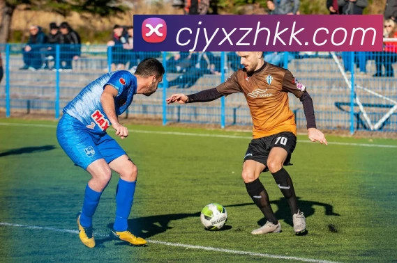 新爱体育官网服务体系